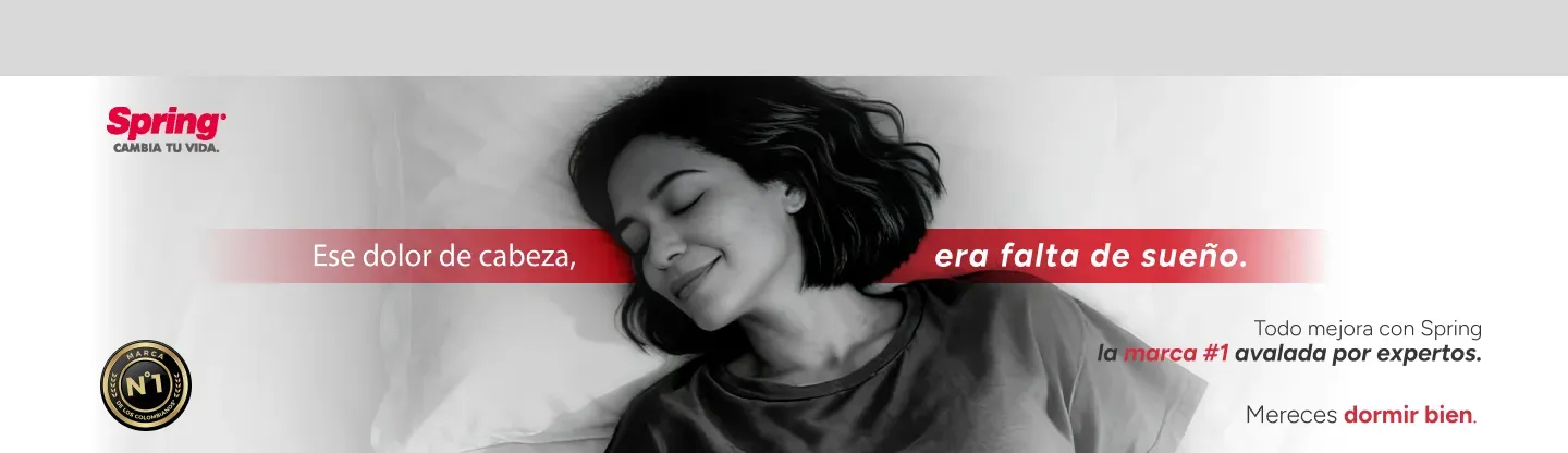 Banner Ppal Colchon rio